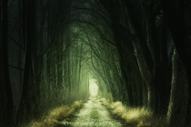 Magical Greenery