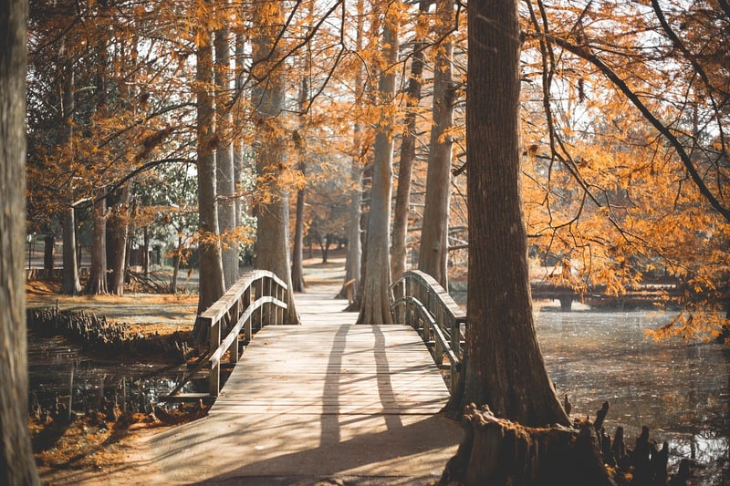 Garden Path