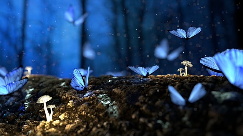 Magic Herbs Enchanted Forest