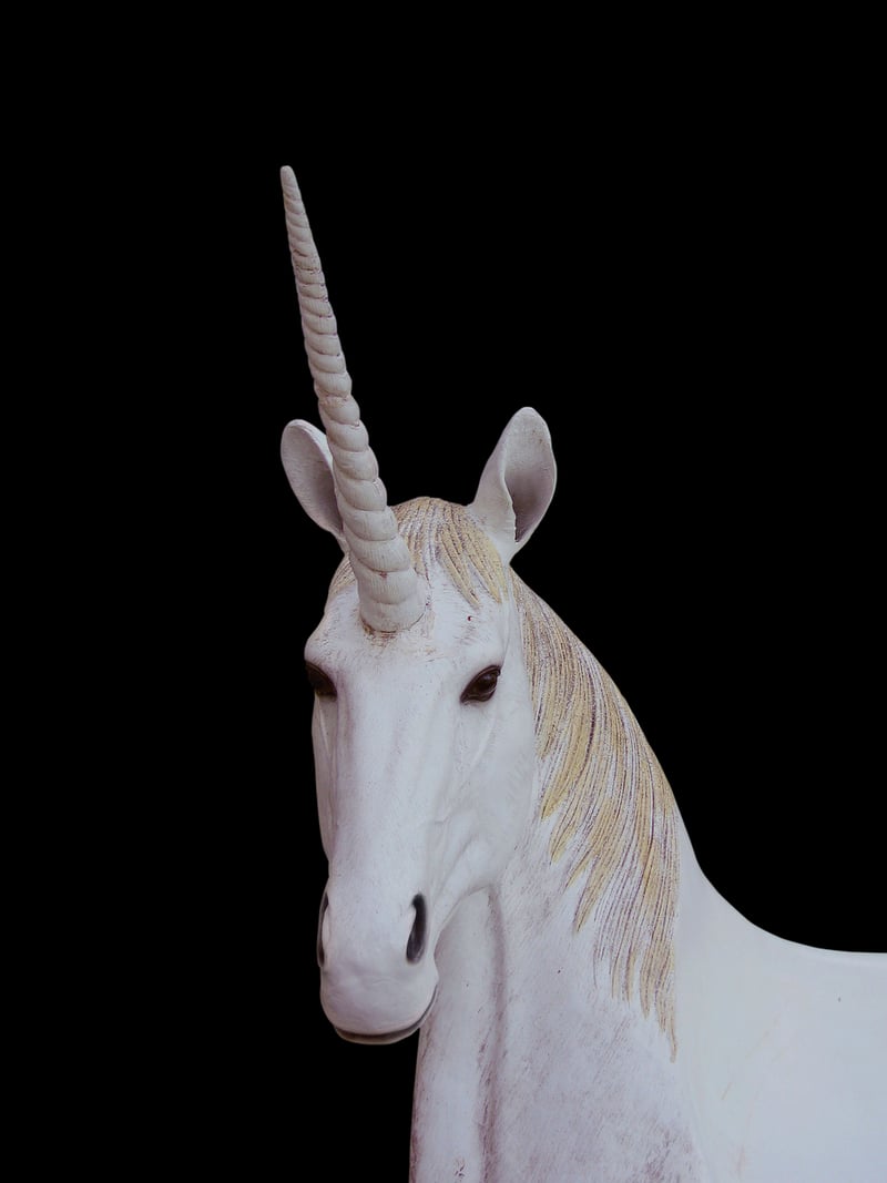 Unicorn in a fantasy setting